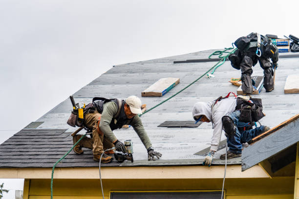 Professional Roofing technician working in Loma, CO